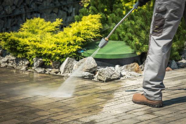 Best Dumpster Area Cleaning  in Freeland, PA