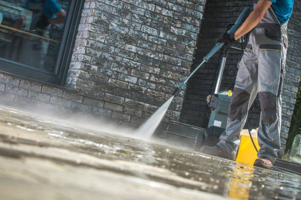 Best House Exterior Washing  in Freeland, PA